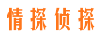 漳县市场调查